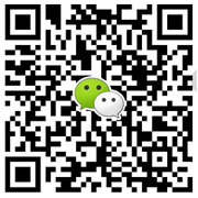 the qr code